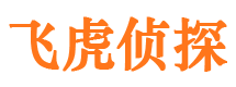 禅城市婚外情调查